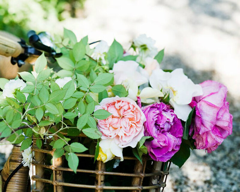 Flowers in Basket