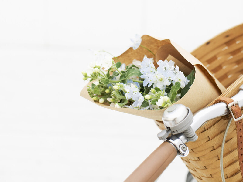 Flowers in Bicycle Basket