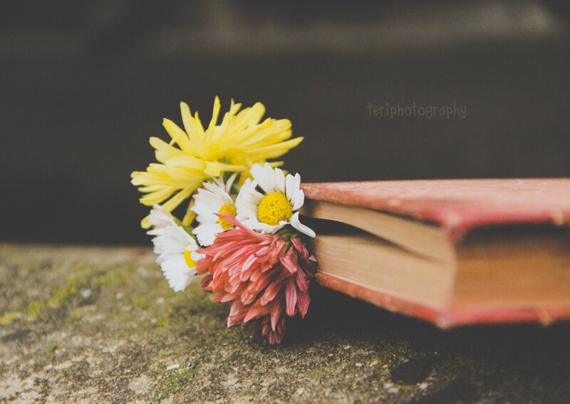 Flowers in Book