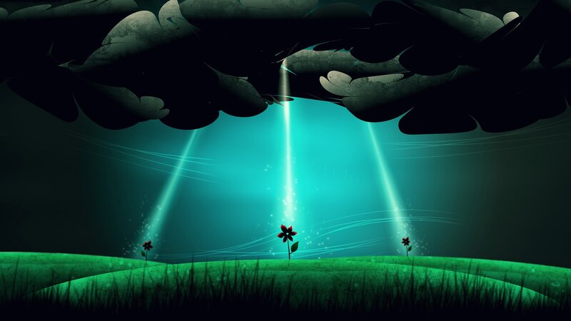 Flowers in Dark Field