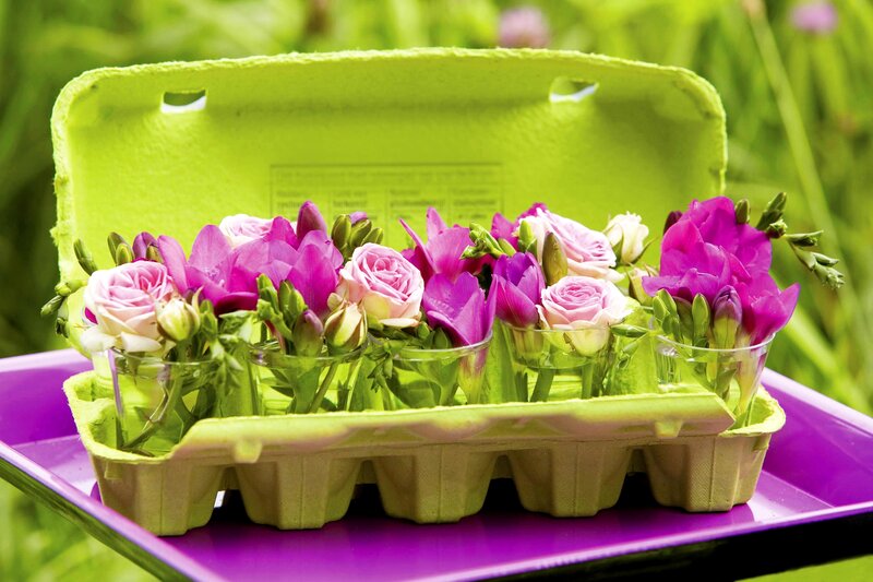 Flowers in Egg Carton — Purple