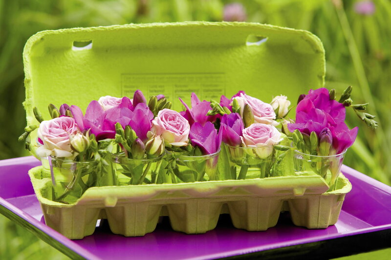 Flowers in Egg Carton