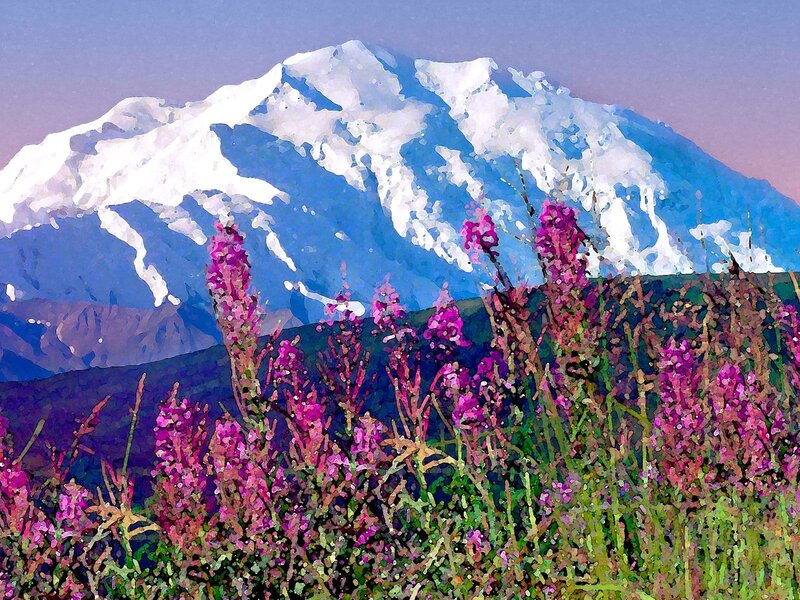 Flowers in front of a snow-capped mountain