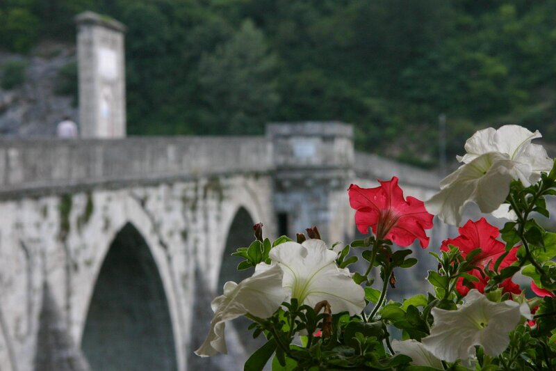 Flowers in front of a stone bridge