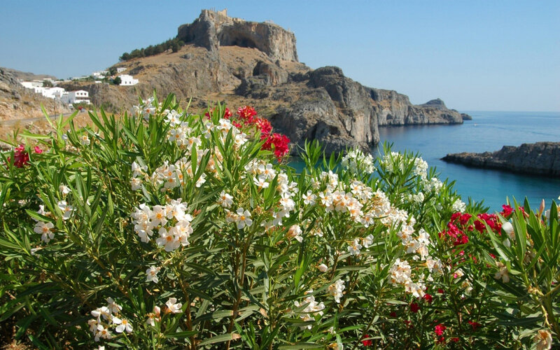 Flowers in Front of Castle