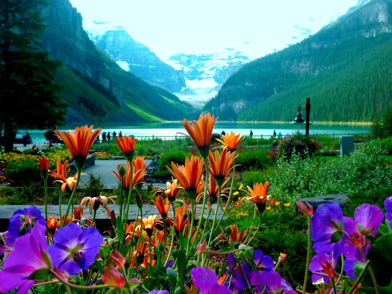 Flowers in Front of Lake