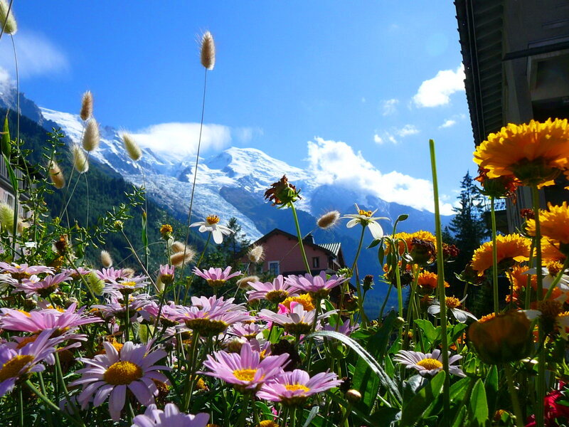 Flowers in Front of Mountain — Blue