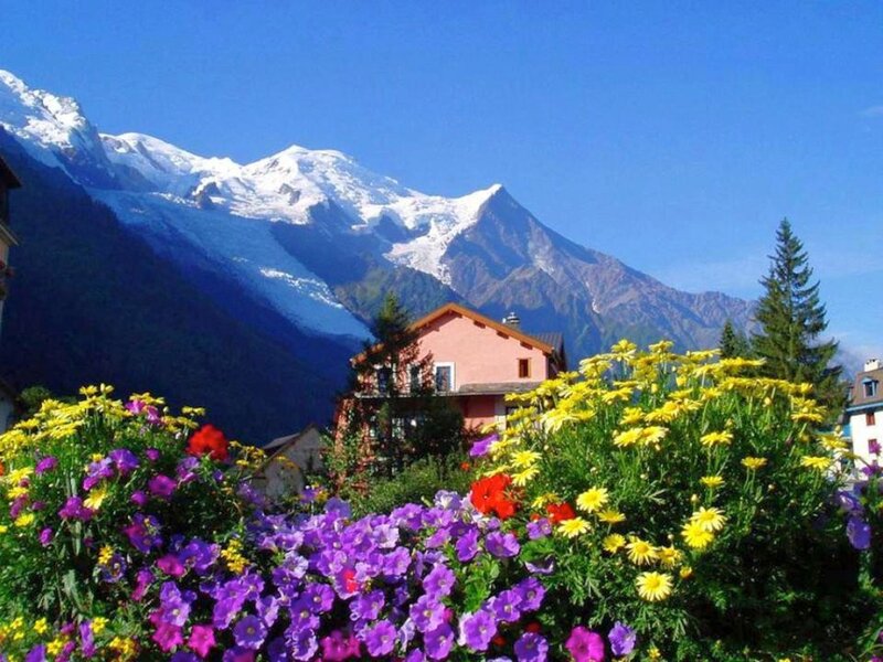 Flowers in Front of Mountain