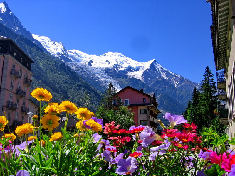 Flowers in Front of Mountains — Blue