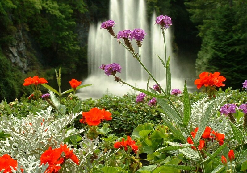 Flowers in Front of Waterfall — Red