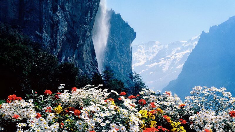 Flowers in Front of Waterfall — White