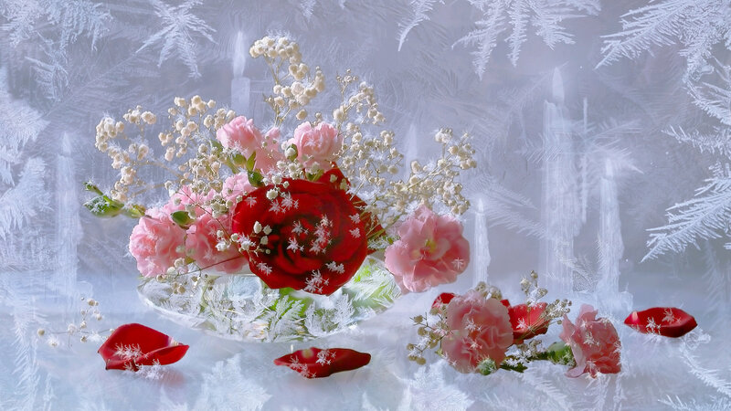 Flowers in Frosty Window