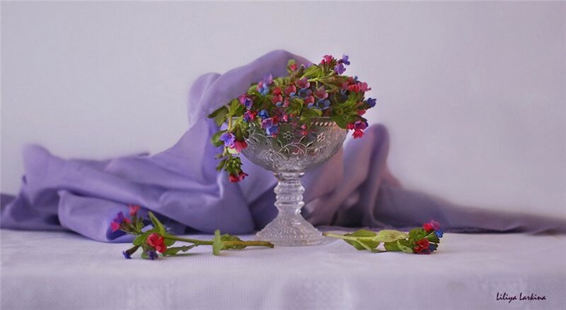 Flowers in Glass Bowl — Purple