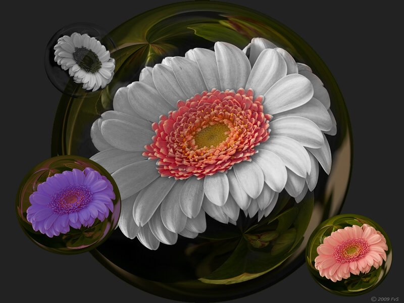 Flowers in glass bubbles