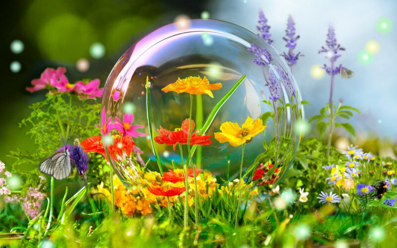 Flowers in Glass Dome