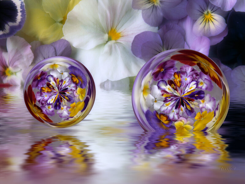 Flowers in glass orbs