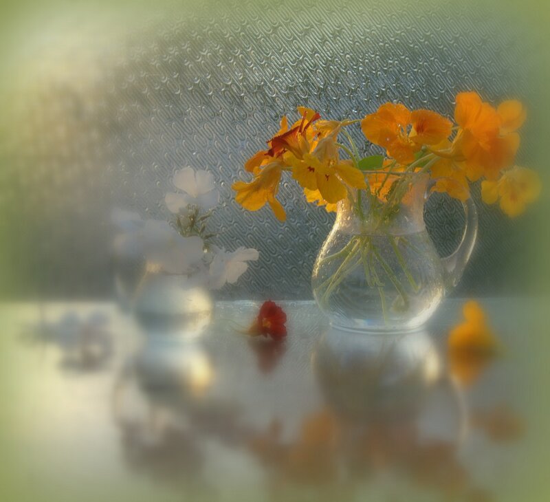 Flowers in Glass Pitcher