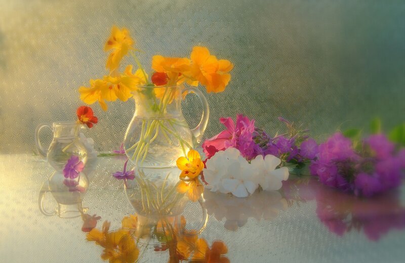 Flowers in Glass Pitchers