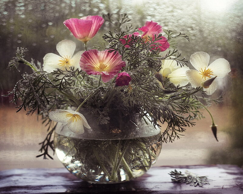 Flowers in Glass Vase — Pink
