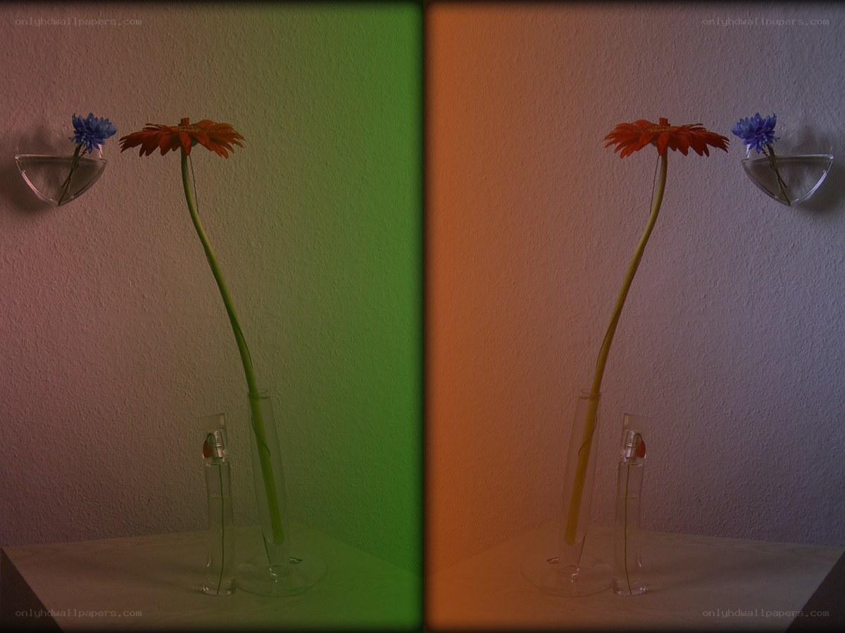 Flowers in glass vases