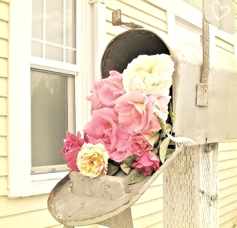 Flowers in Mailbox
