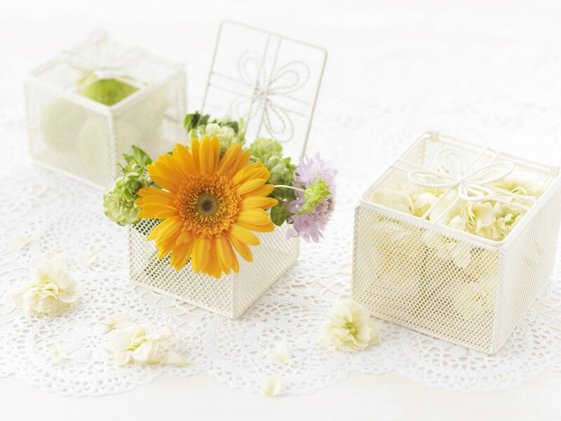 Flowers in Mesh Boxes — White, Serene