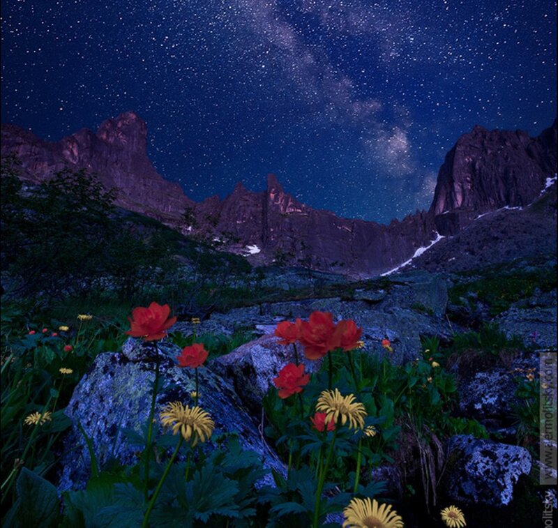 Flowers in Mountain Valley — Blue