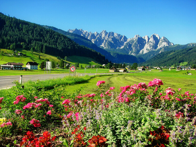 Flowers in Mountain Valley — Green
