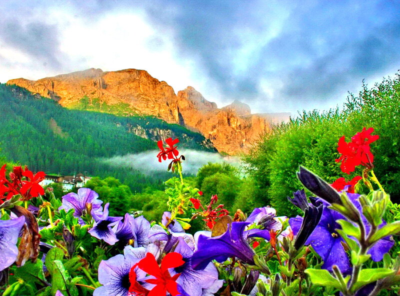 Flowers in Mountain Valley — Purple, Dramatic