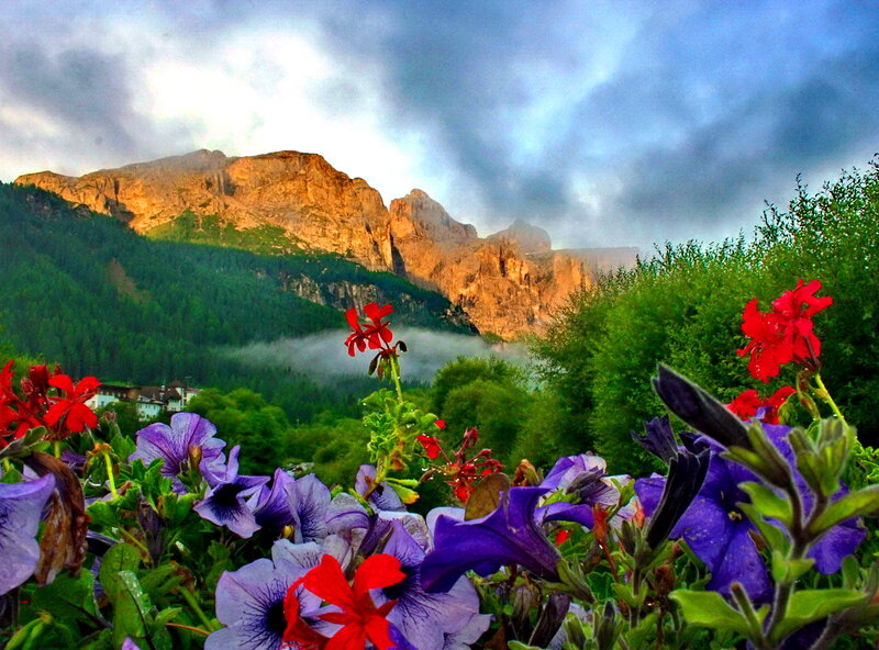 Flowers in Mountain Valley — Purple