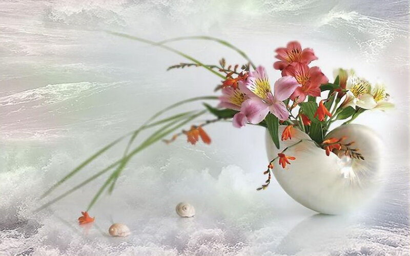 Flowers in Seashell Vase