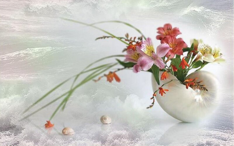 Flowers in Seashell Vase — White