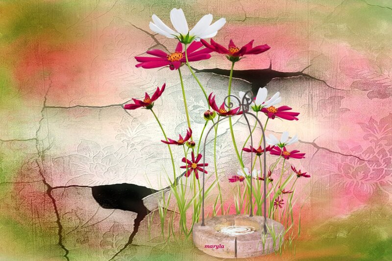 Flowers in Stone Basin