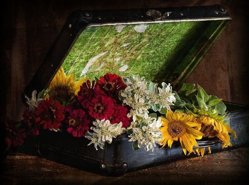 Flowers in Suitcase