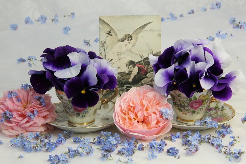 Flowers in Teacups — Purple
