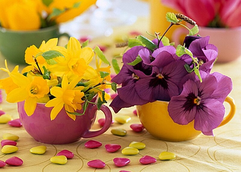 Flowers in Teacups