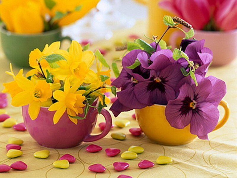 Flowers in Teacups — Yellow, Colorful