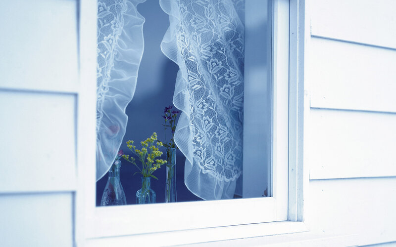Flowers in Vases by Window