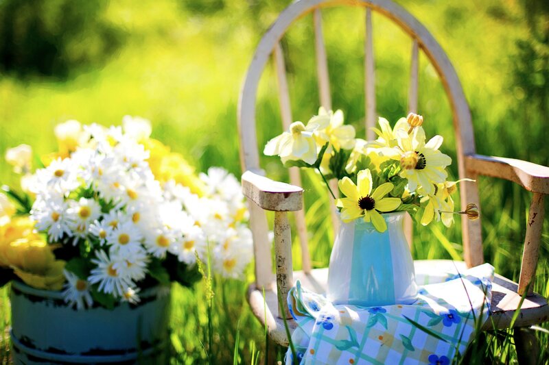 Flowers in Vases on Chair