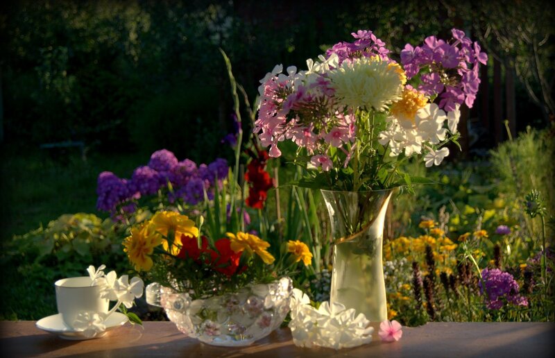 Flowers in Vases on Table — Purple