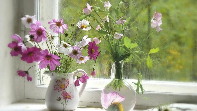Flowers in Vases on Windowsill — Pink, Serene