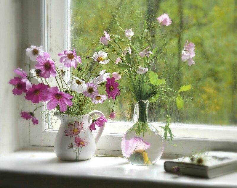 Flowers in Vases on Windowsill — Pink