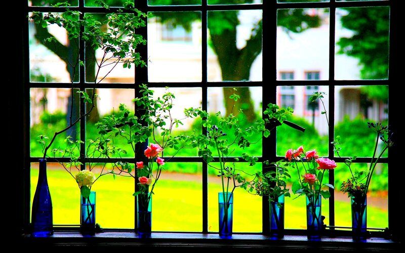 Flowers in Vases on Windowsill