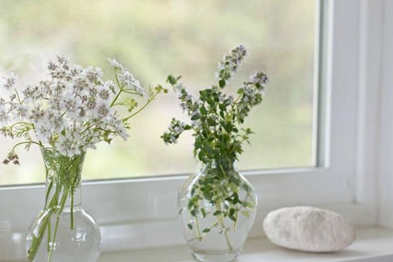 Flowers in Vases on Windowsill — White