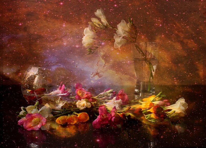 Flowers in Vases