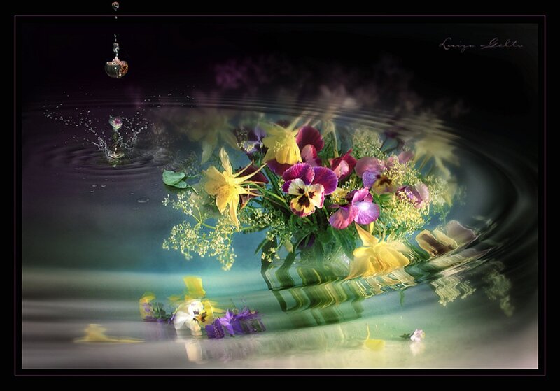 Flowers in Water — Purple