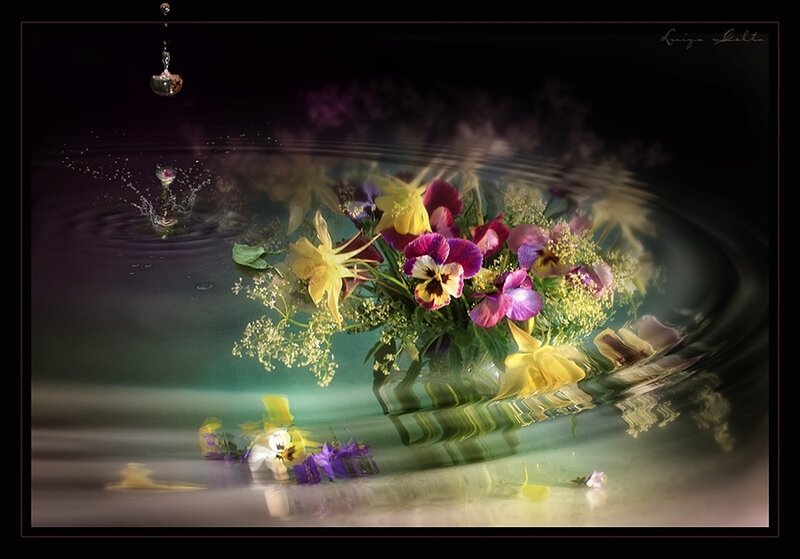 Flowers in Water
