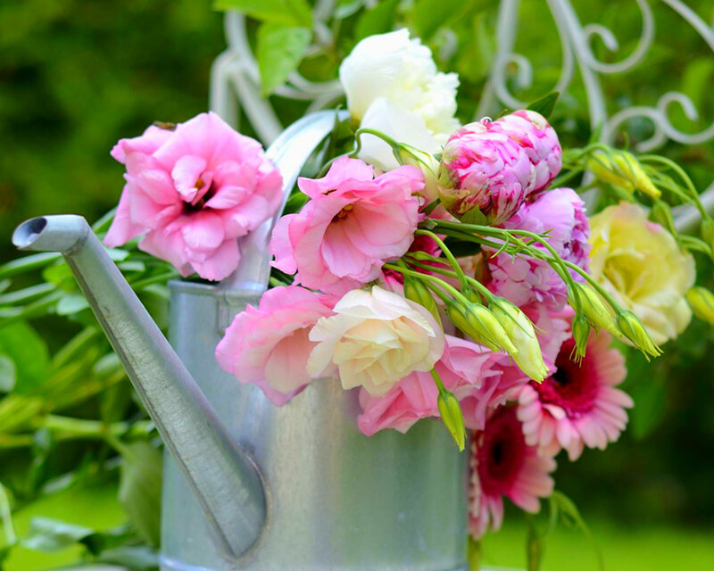 Flowers in Watering Can — Pink