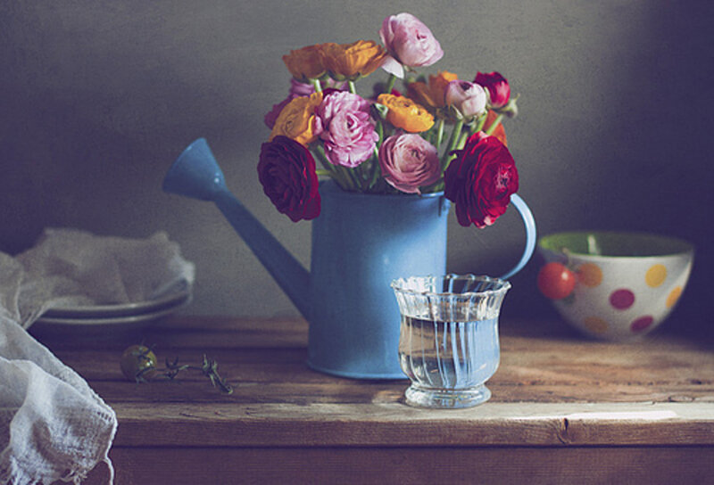 Flowers in Watering Can
