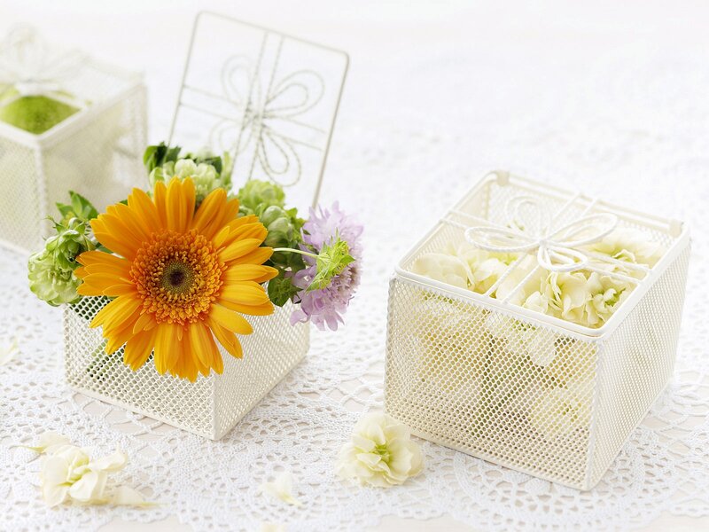 Flowers in White Boxes